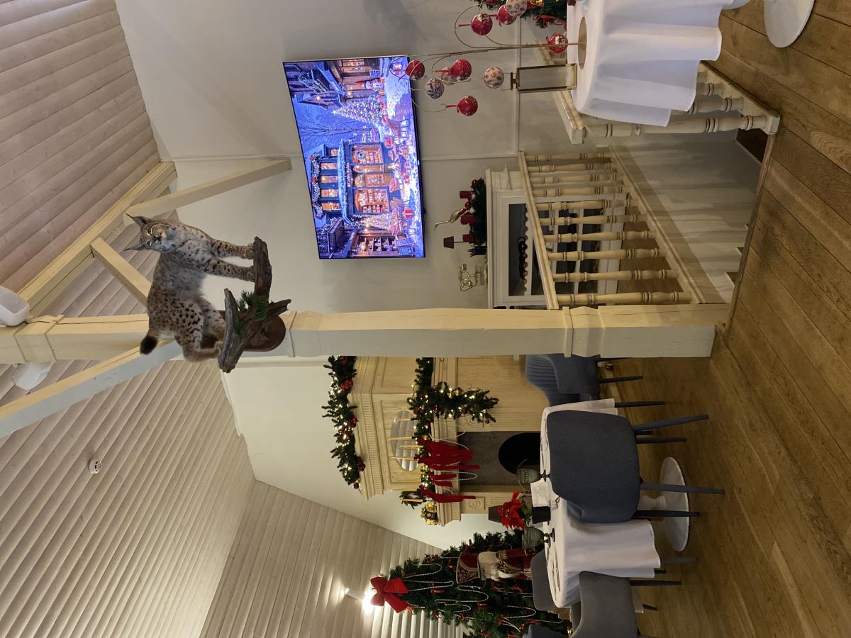 Silene Resort and SPA Photo by user review